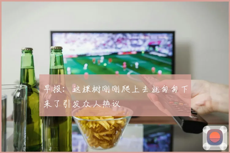早报：这棵树刚刚爬上去就匆匆下来了引发众人热议