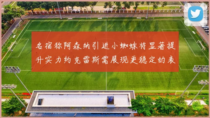 名宿称阿森纳引进小蜘蛛将显著提升实力约克雷斯需展现更稳定的表现